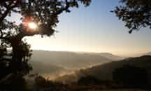 Walnut Canyon Guest Cabins 